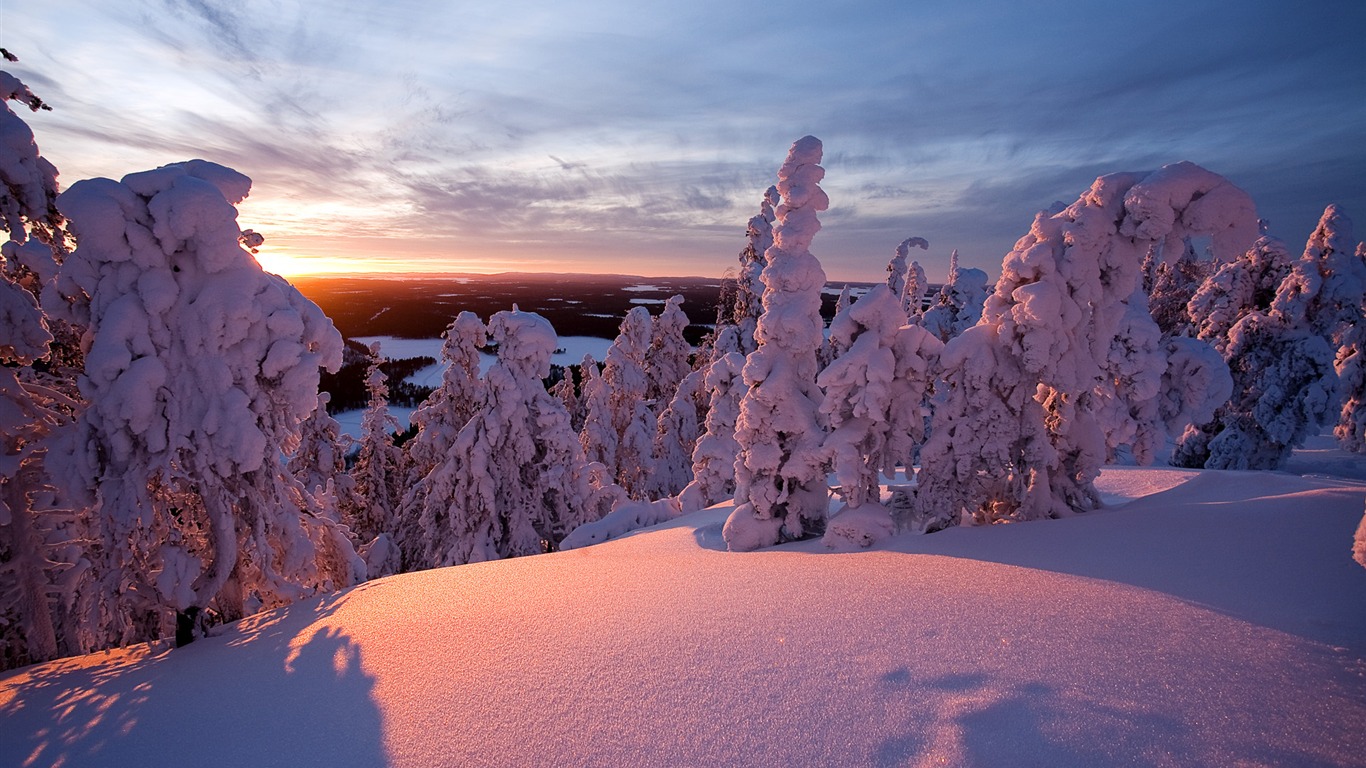 Finnish Lapland Snow Desktop Wallpaper2011 - Finland Winter - HD Wallpaper 
