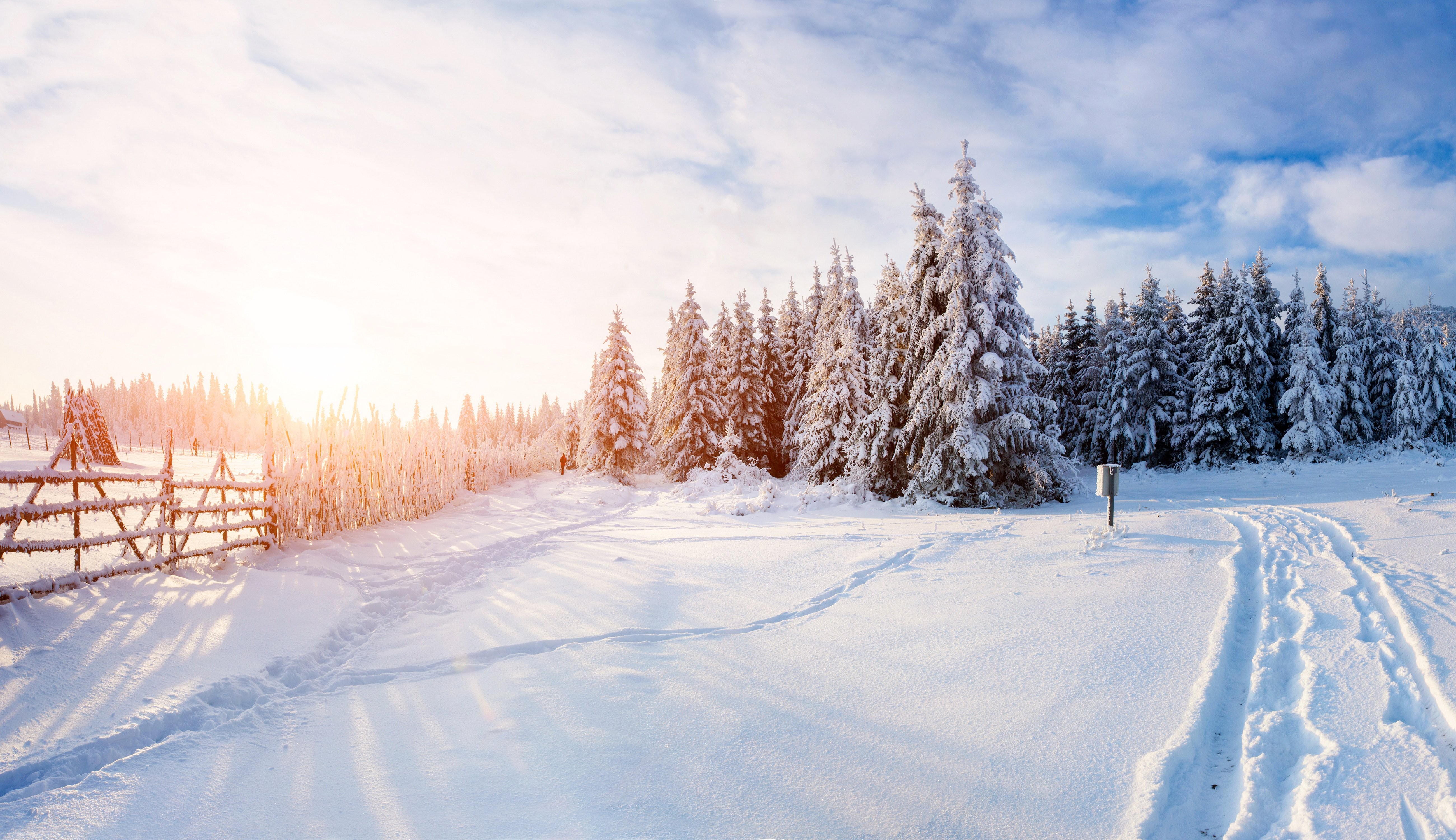 Winter Nature Backgrounds - HD Wallpaper 