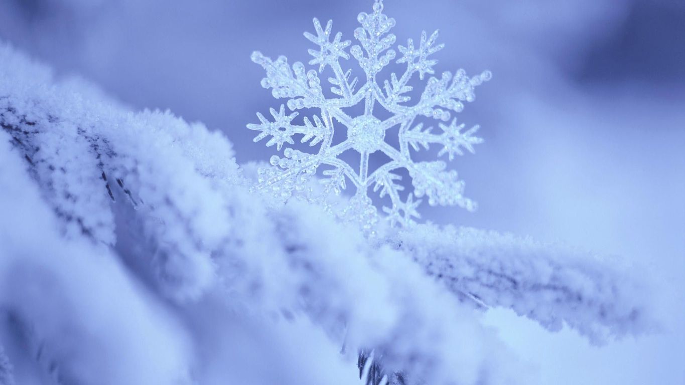 Snowflake Live Wallpaper - HD Wallpaper 