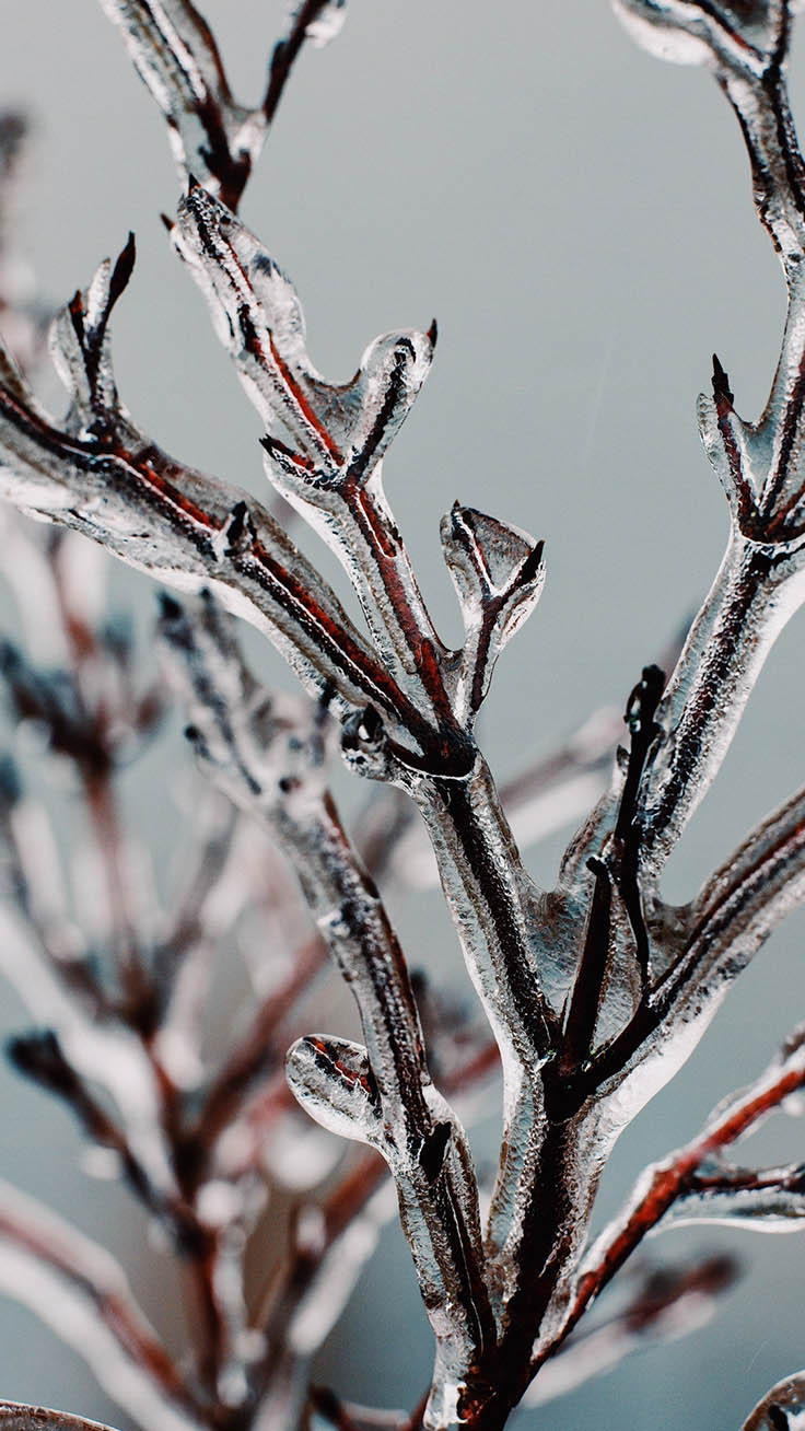13 X Winter Landscapes Iphone Wallpapers By Preppy - Iphone 11 Pro Max Winter - 736x1308 Wallpaper 13 X Winter Landscapes Iphone Wallpapers By Preppy - Iphone 11 Pro Max Winter - 736x1308 Wallpaper