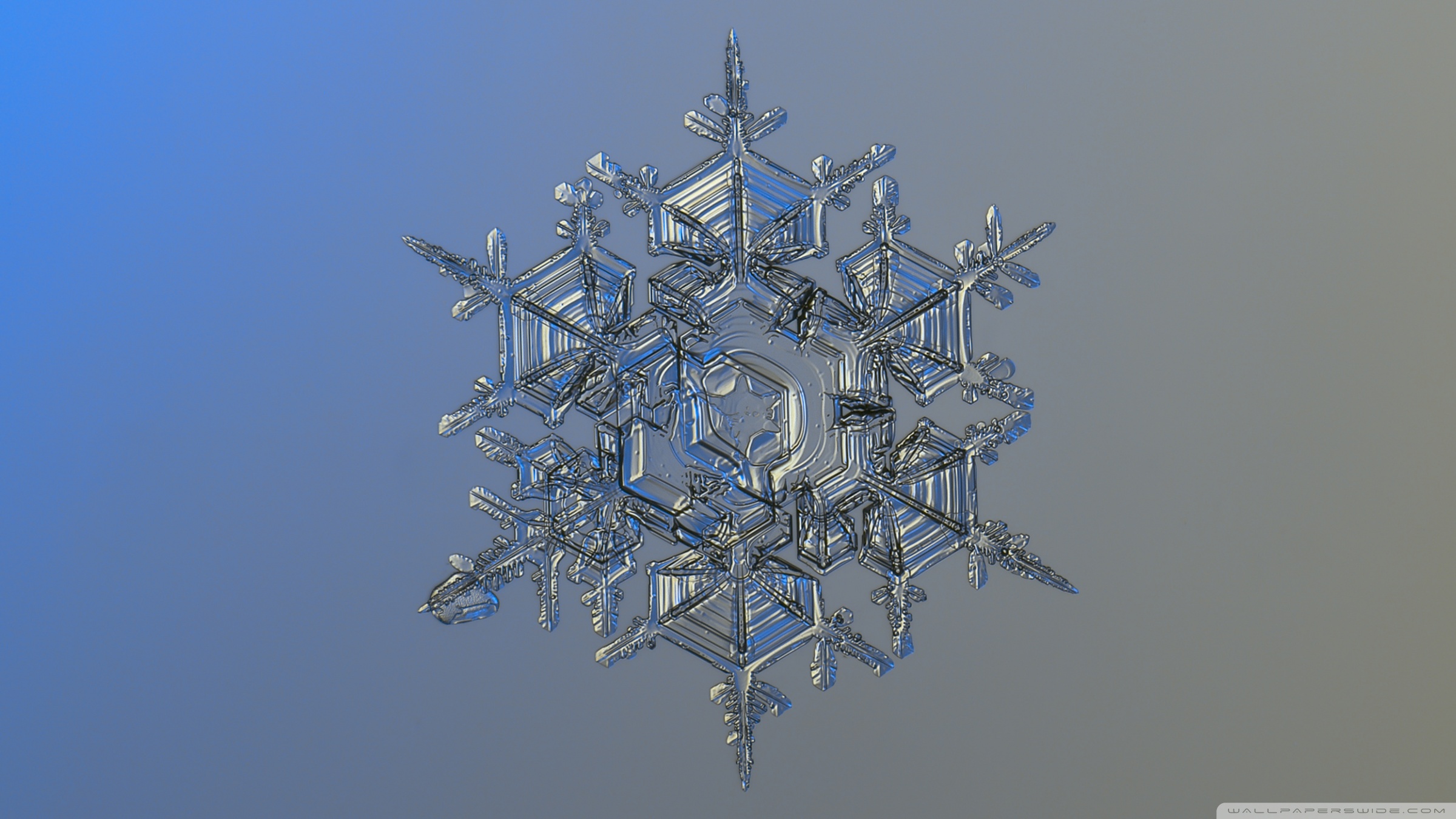 Mobile Phone - HD Wallpaper 