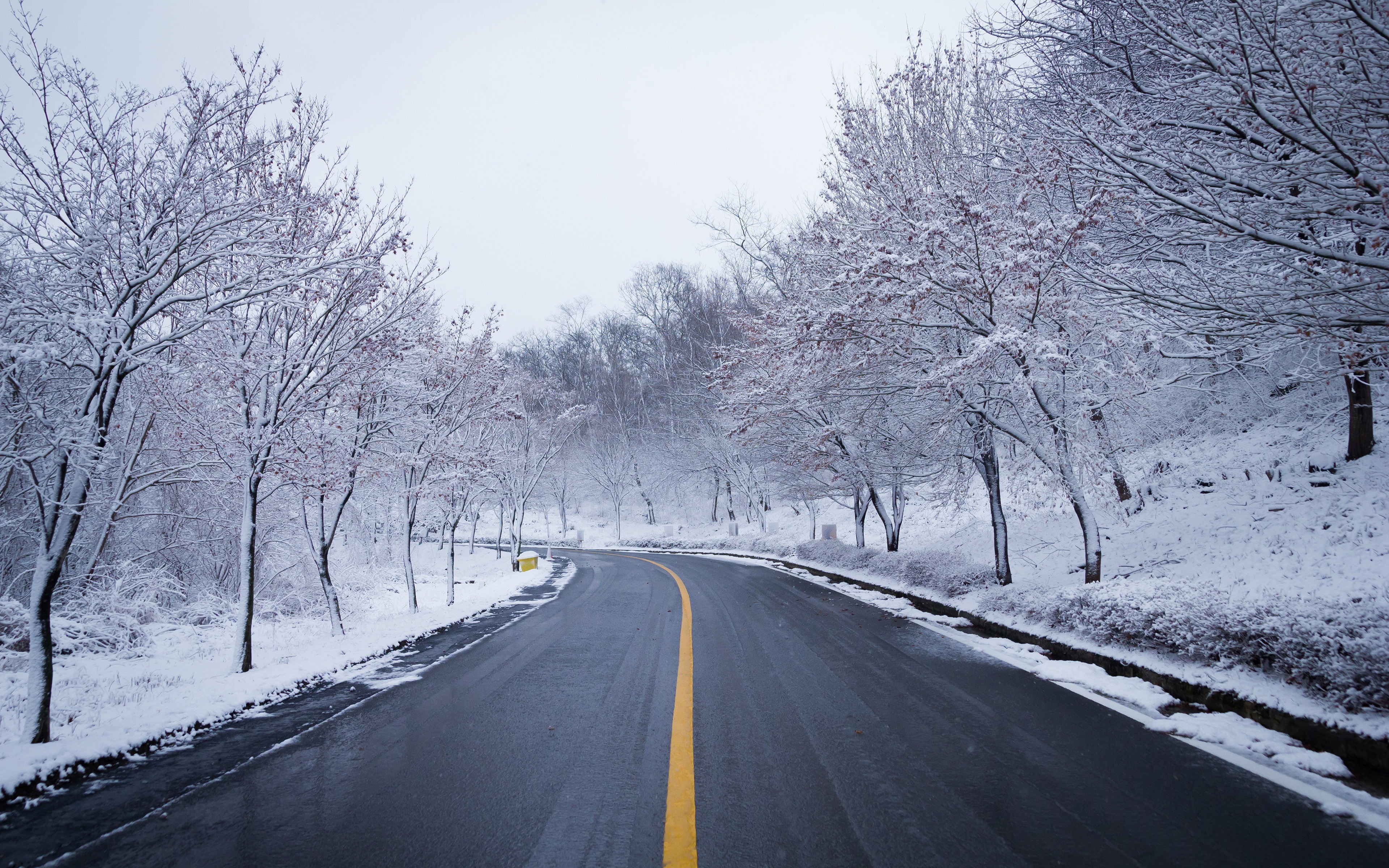 Winter Snow Road Hd Wallpaper Background - HD Wallpaper 