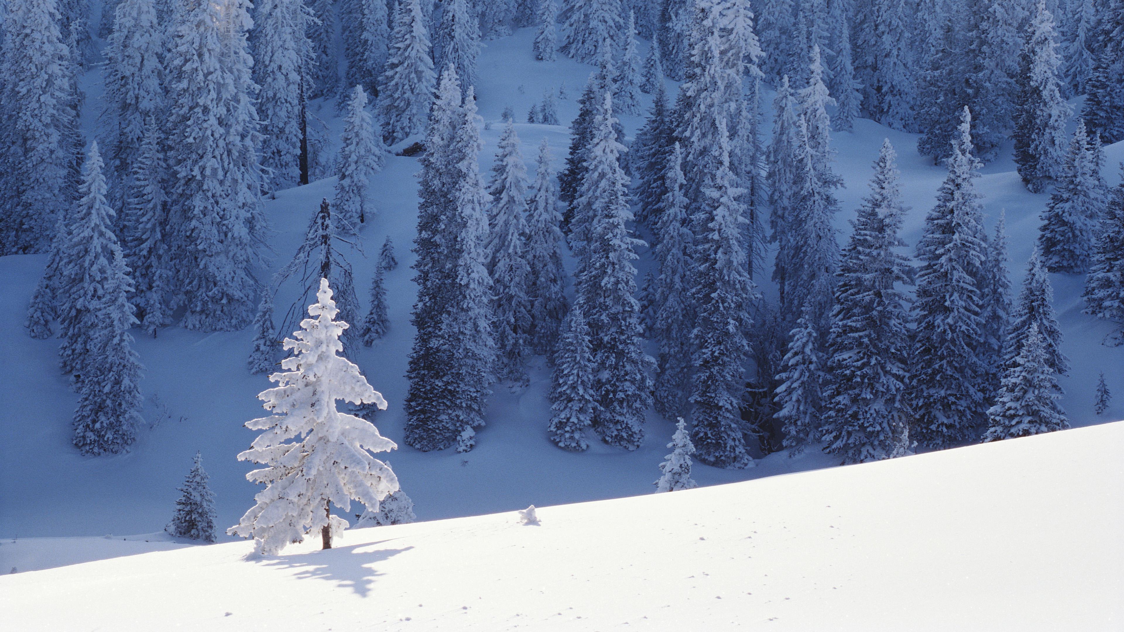 Snow Wallpaper 4k - HD Wallpaper 