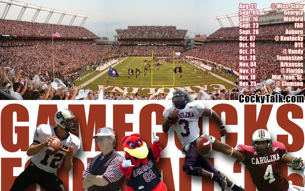 Sabas Craydon, Gamecock Football, - HD Wallpaper 