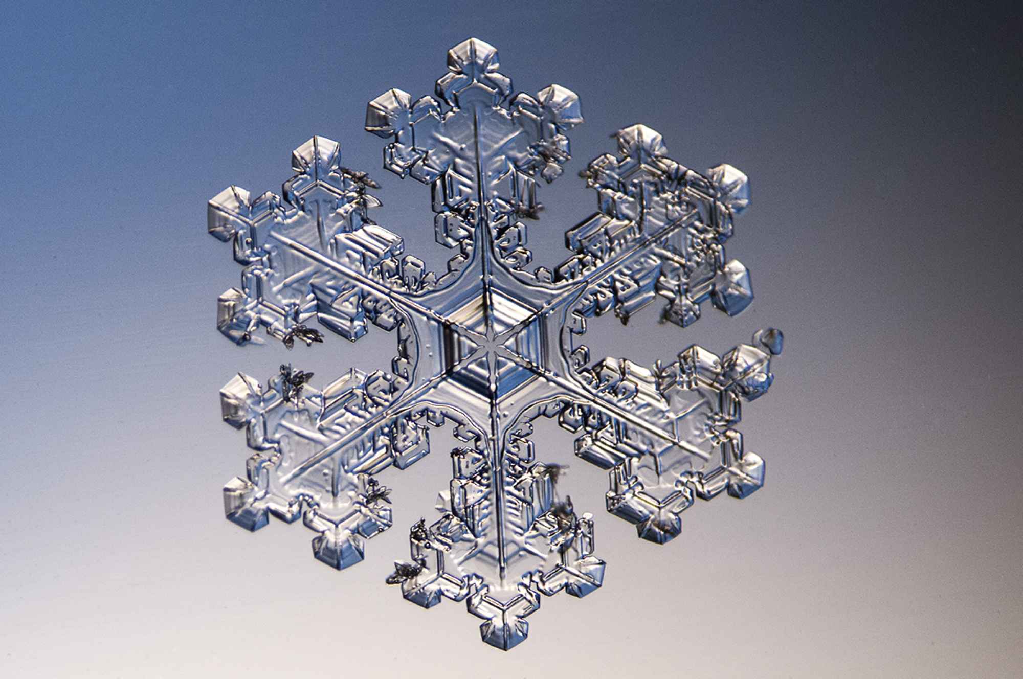 Snowflake Live Wallpaper - HD Wallpaper 