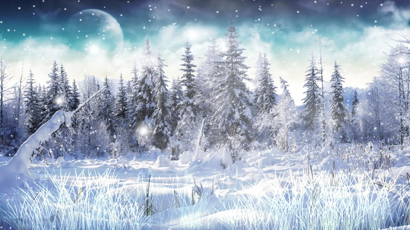 Animated Wallpaper Snow - HD Wallpaper 