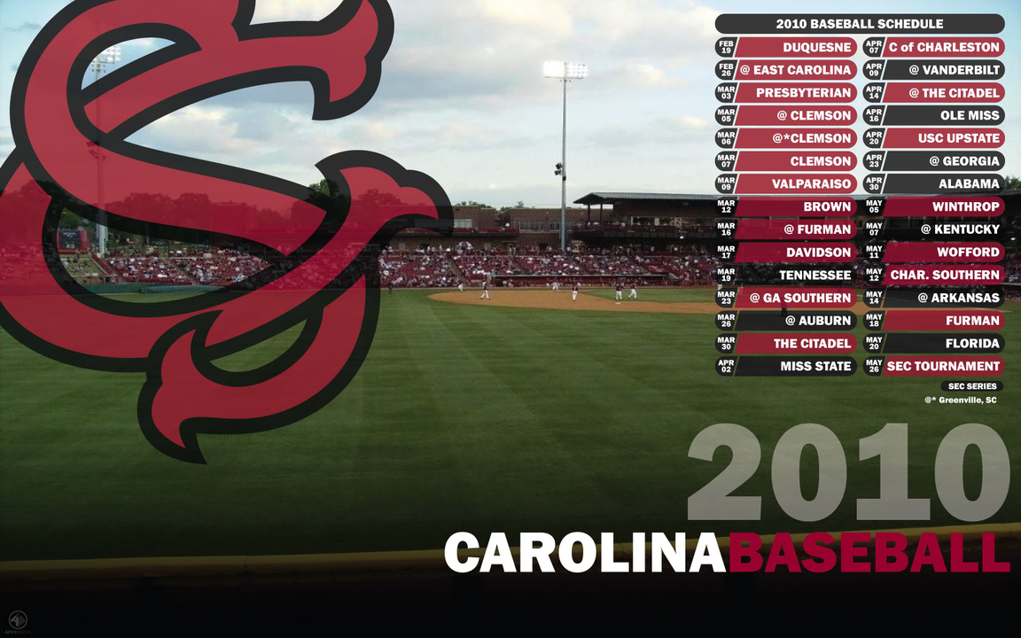 South Carolina Gamecocks - HD Wallpaper 