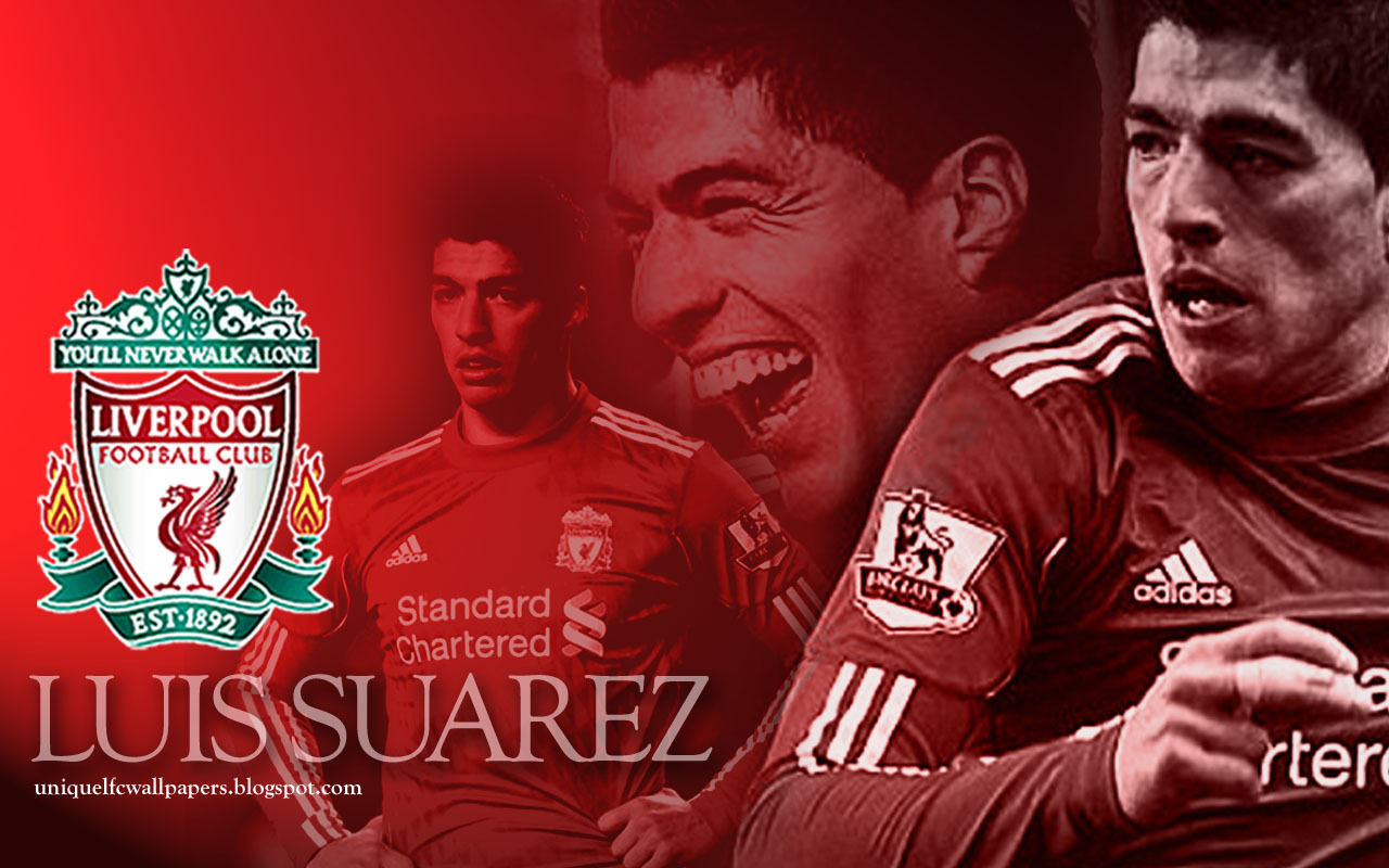 Luis Suarez Liverpool 2011 - HD Wallpaper 