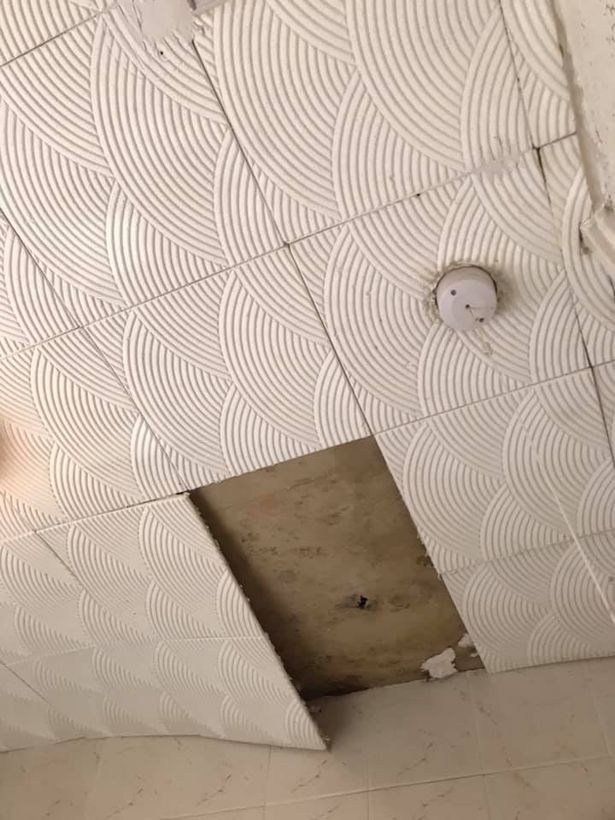 Ceiling - HD Wallpaper 