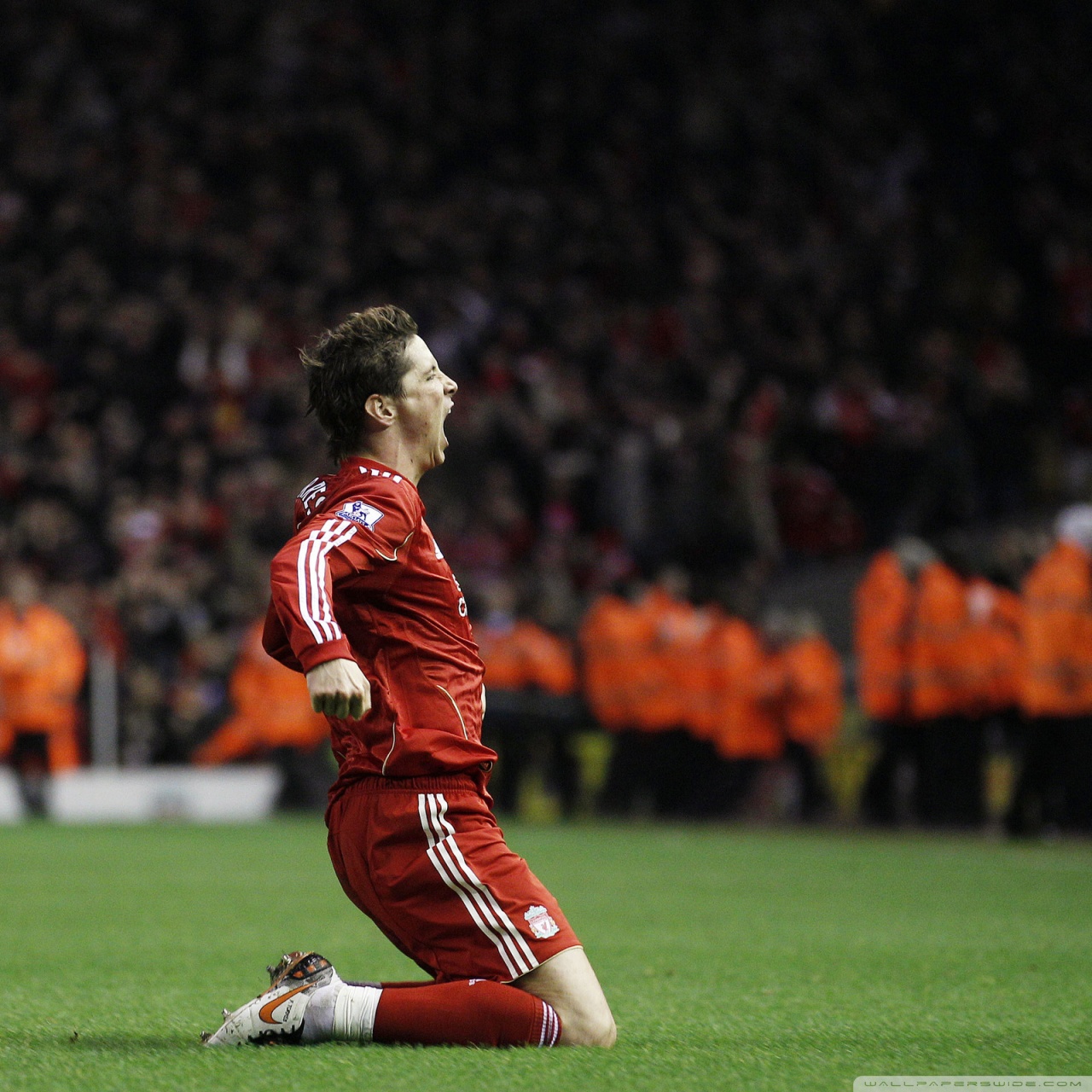 Fernando Torres Chelsea 2010 - HD Wallpaper 