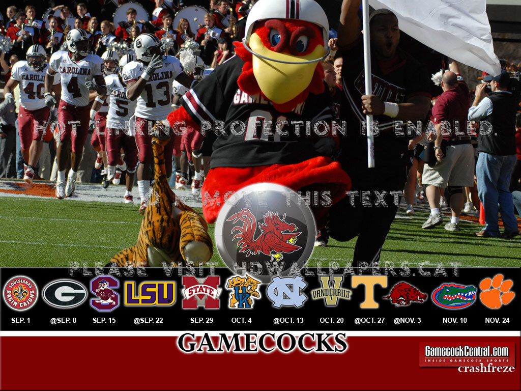 Cocky Sec Usc Gamecocks University South - Tournament - HD Wallpaper 