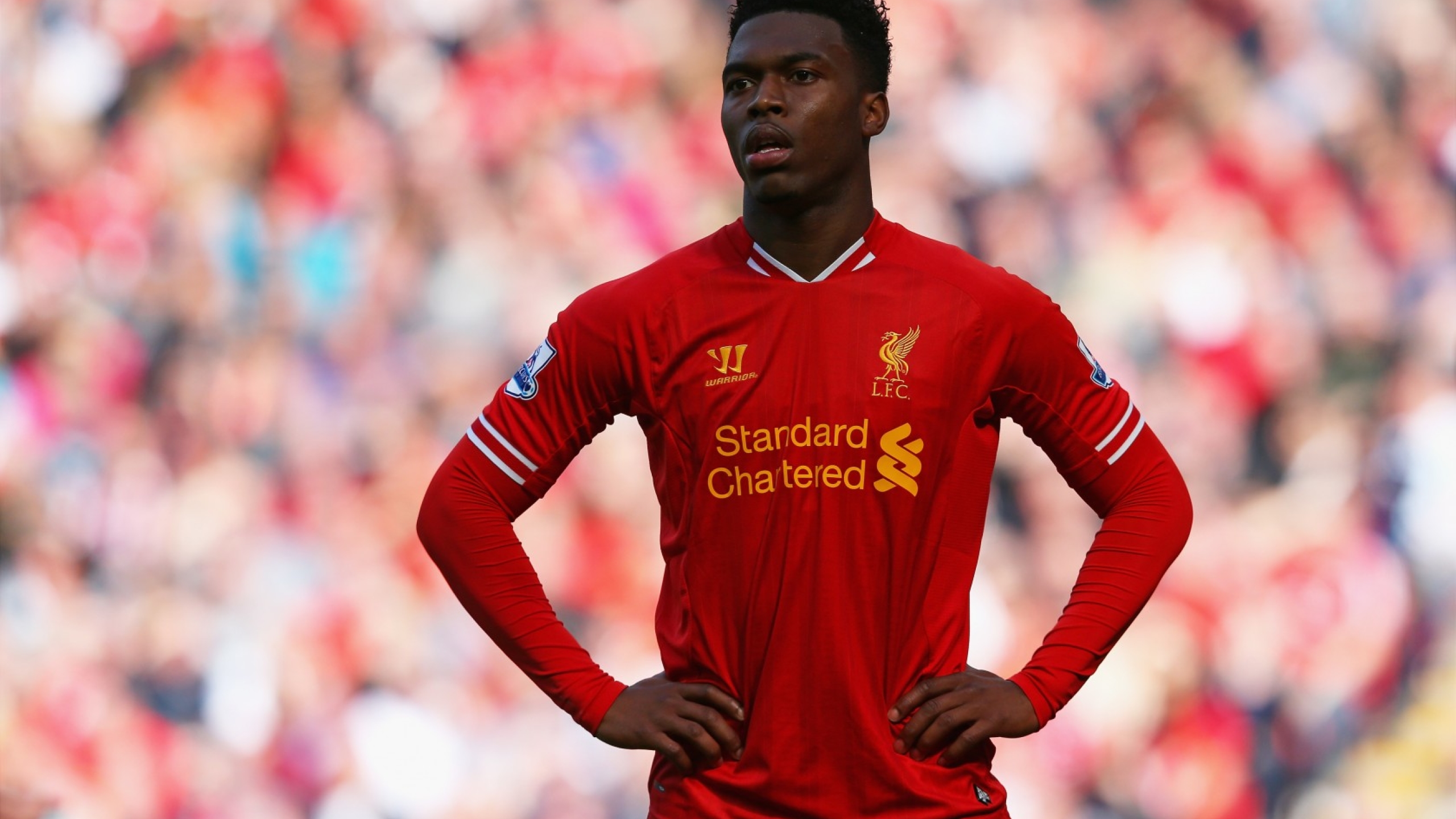 Soccer Players Wearing Long Sleeves 2560x1440 Wallpaper teahub.io