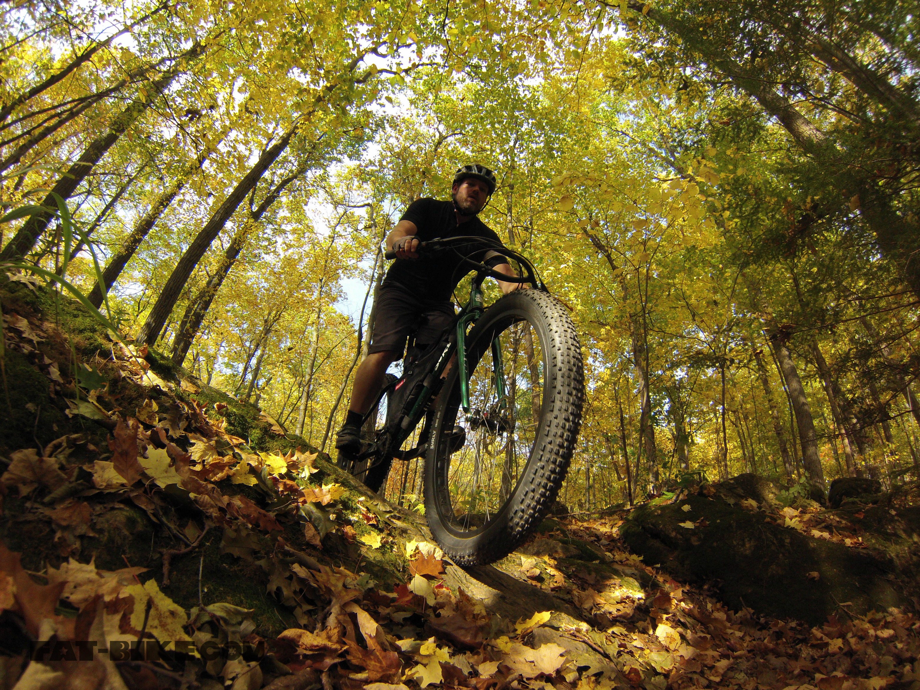 Freeride - HD Wallpaper 