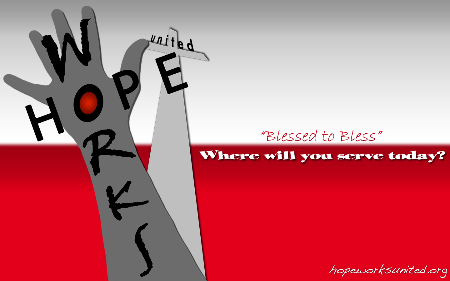 Insect - HD Wallpaper 