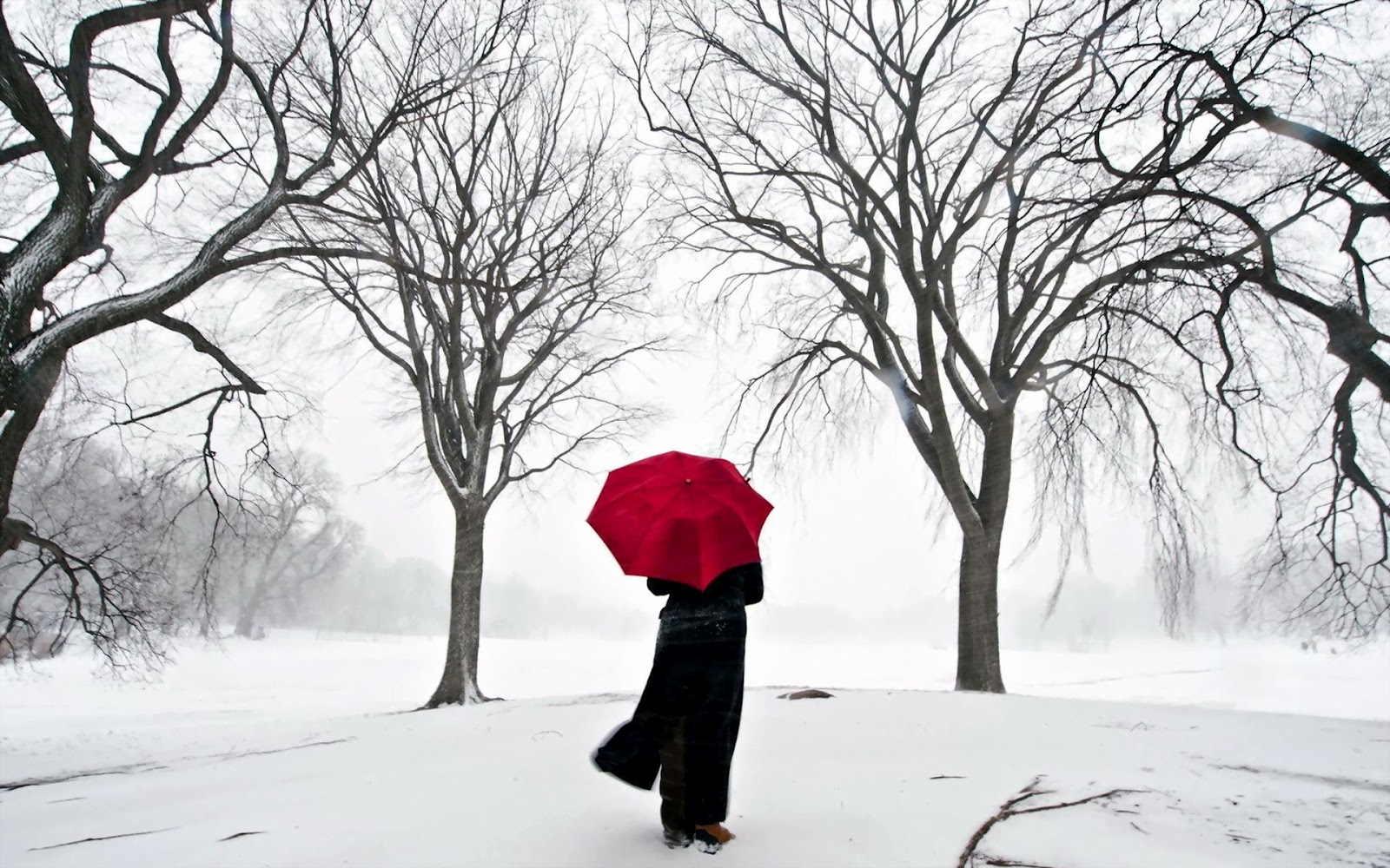 Alone Girl In Winter - 1600x1000 Wallpaper 