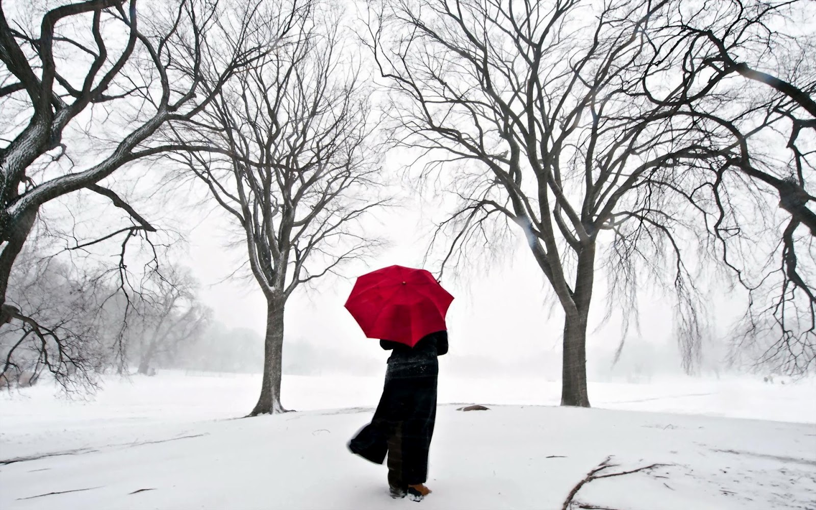 Alone Girl In Winter - 1600x1000 Wallpaper Alone Girl In Winter - 1600x1000 Wallpaper