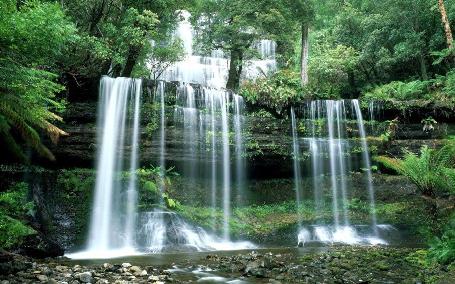 Russell Falls - HD Wallpaper 