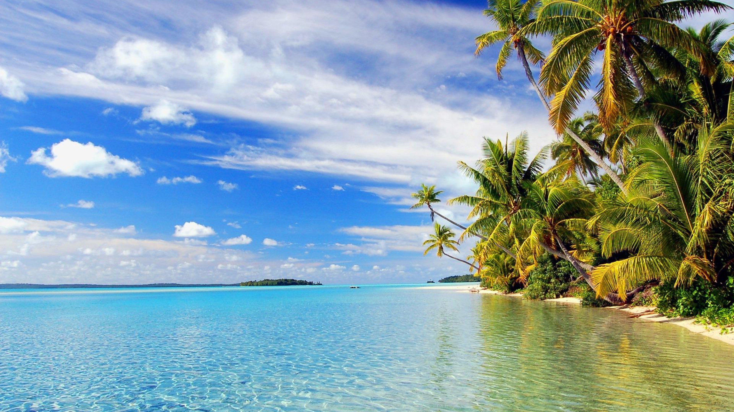 Tropical Beach Wallpaper Desktop 
 Data Src Beach Wallpaper - High Resolution Cook Islands - HD Wallpaper 