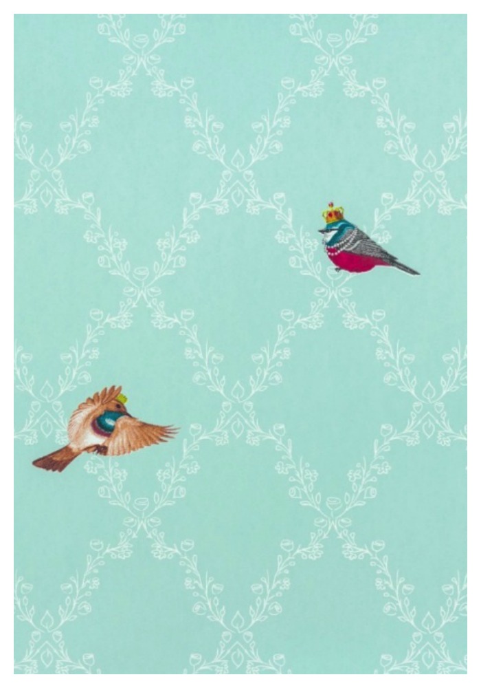 Bird Wallpaper - Wood Thrush - HD Wallpaper 