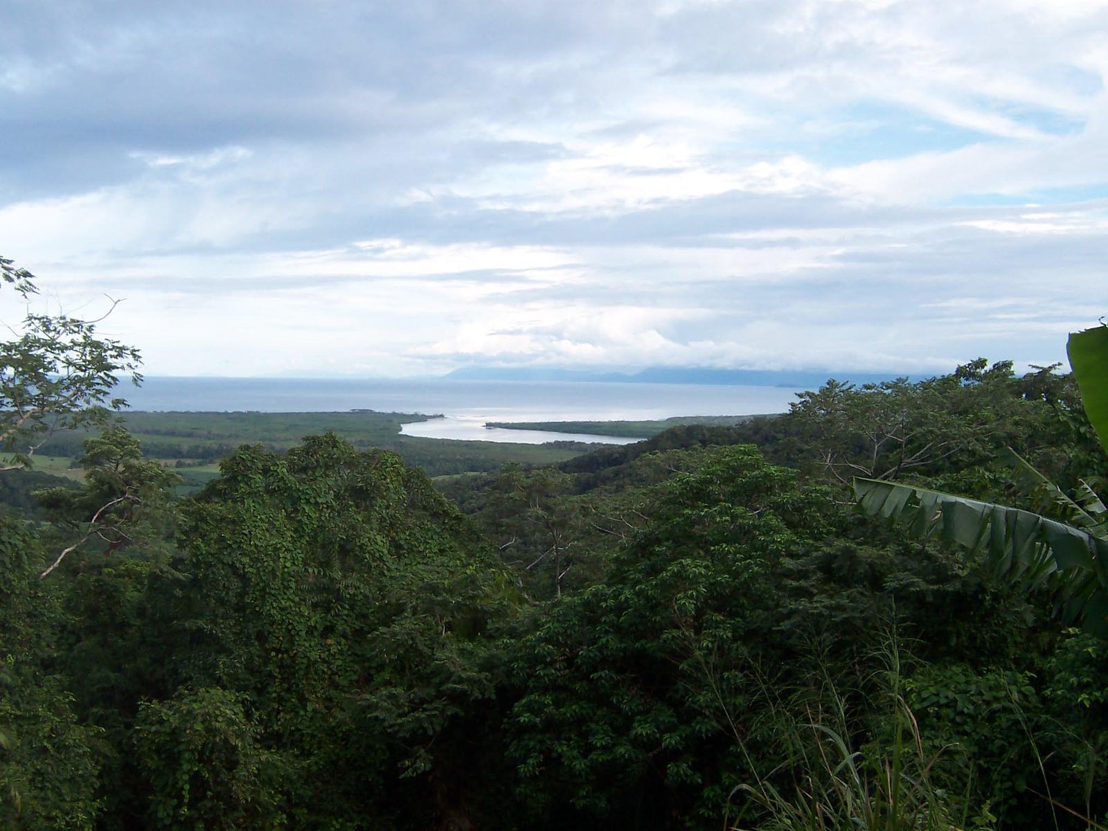 Australia Tropical Rainforest - Tropical Australia Rainforests - HD Wallpaper 