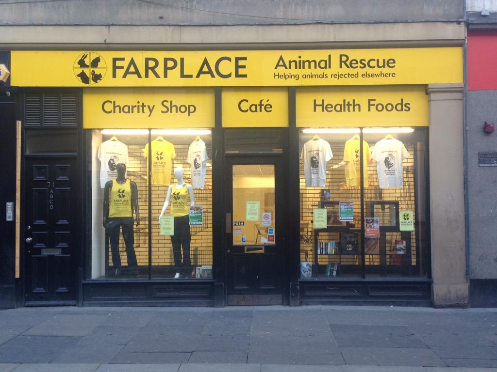 Display Window - HD Wallpaper 