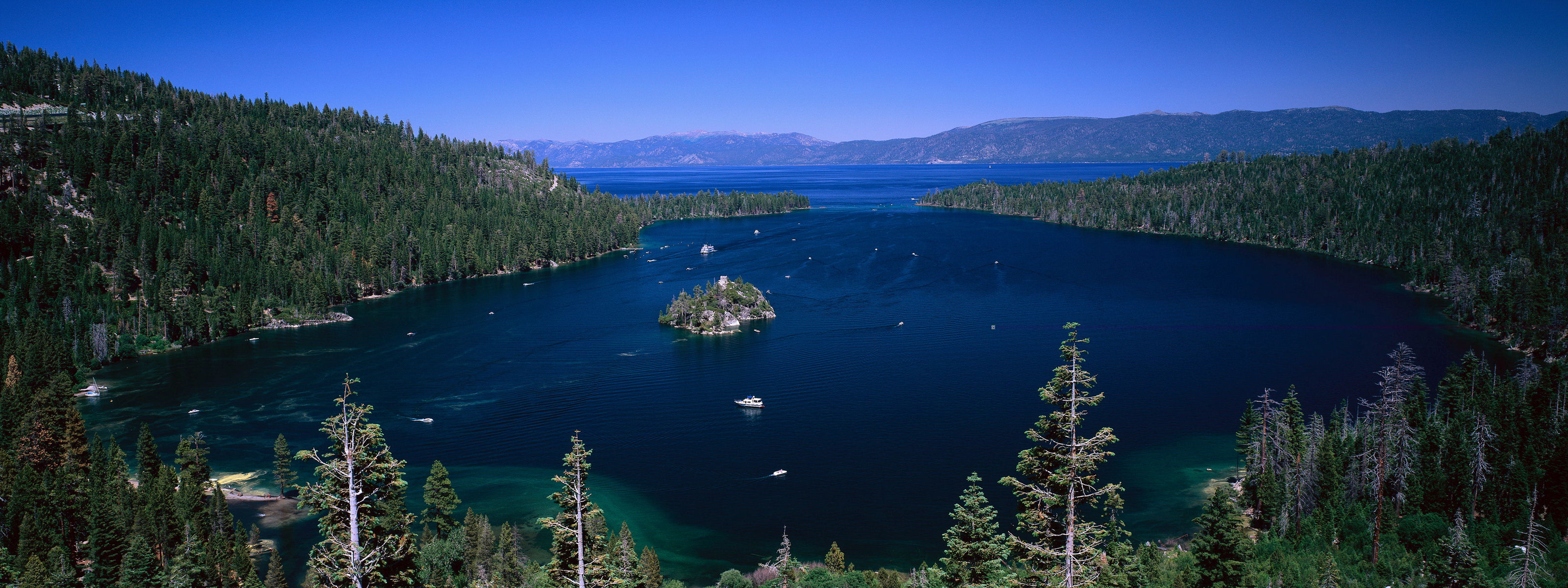 Sea Forest Facebook Cover - HD Wallpaper 