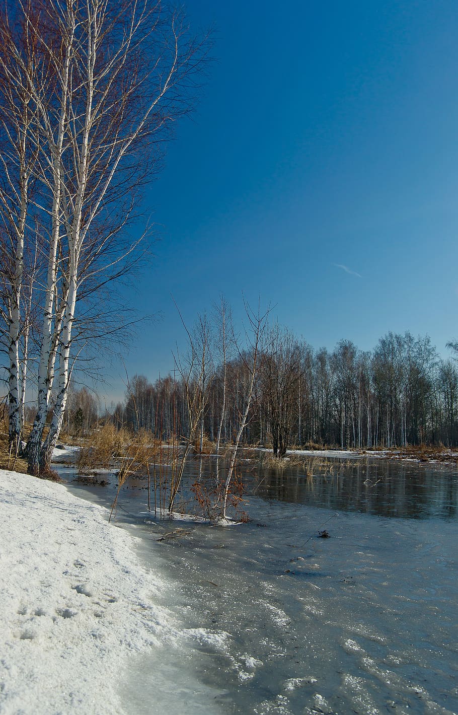 Nature, Water, Forest, Landscape, Spring, Siberia, - Snow - HD Wallpaper 