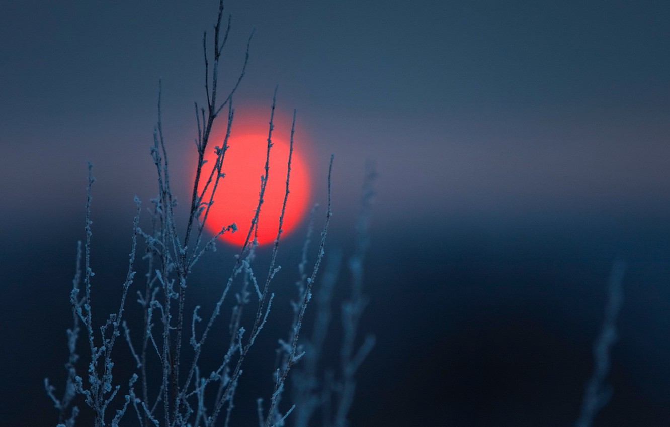 Photo Wallpaper Night, The Moon, Beauty, Siberia - Darkness - HD Wallpaper 