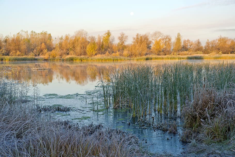 River, The First, Siberia, Autumn, Frost, Landscape, - Siberia Autumn - HD Wallpaper 