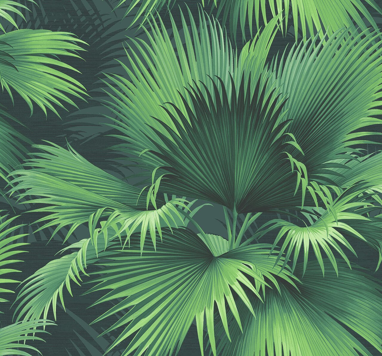 Palm Leaves - HD Wallpaper 