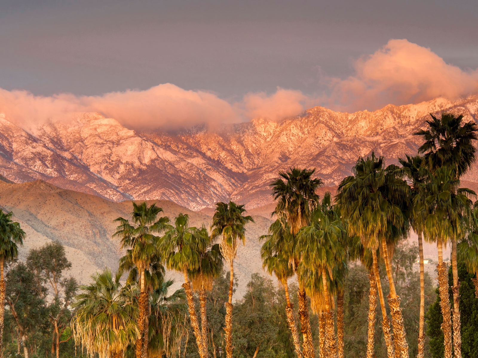 Palm Springs - HD Wallpaper 