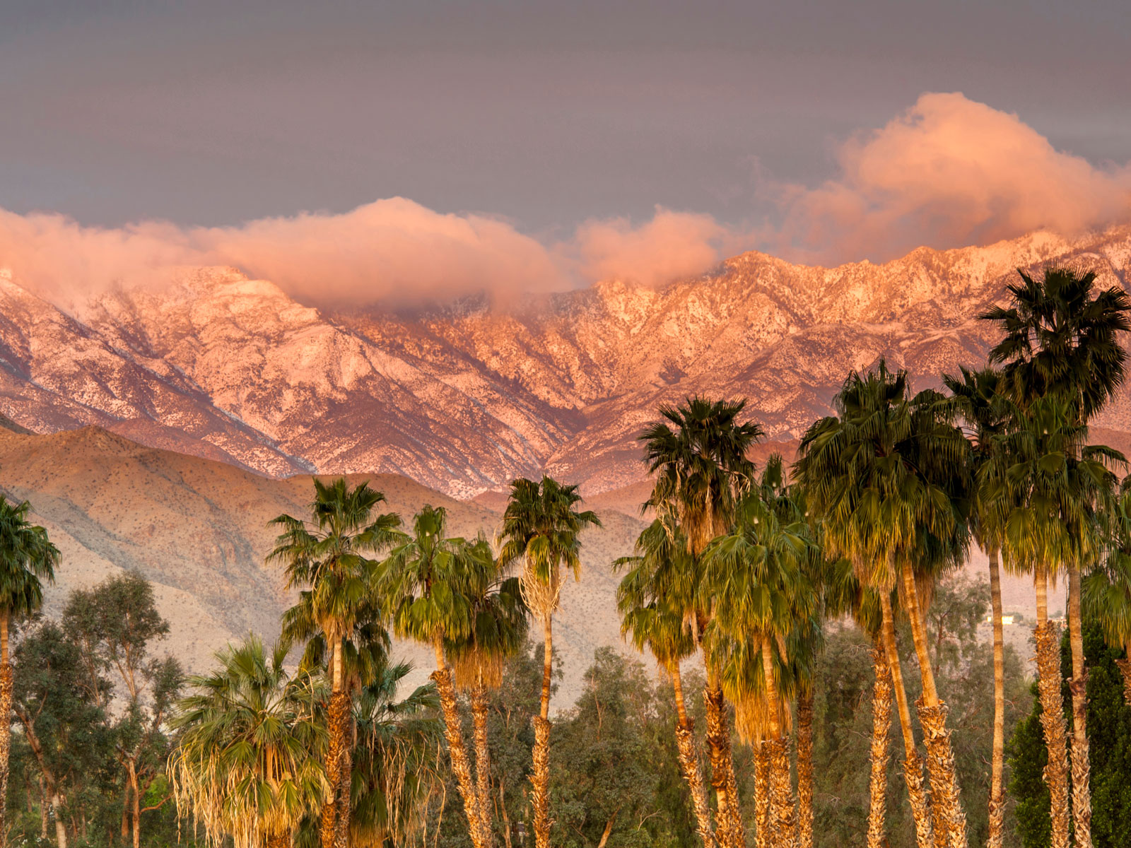 Palm Springs - 1600x1200 Wallpaper - teahub.io