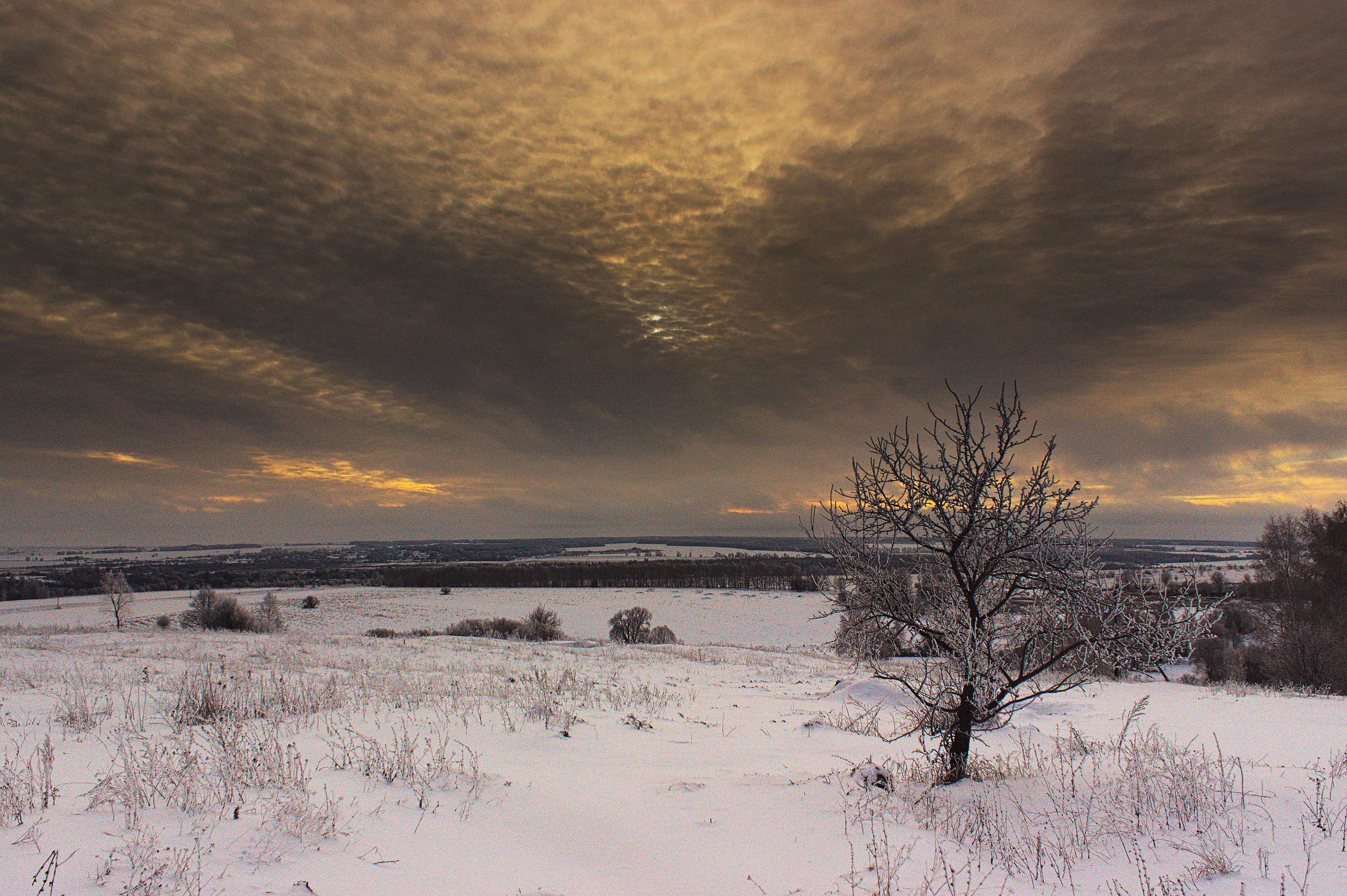 Snow - HD Wallpaper 