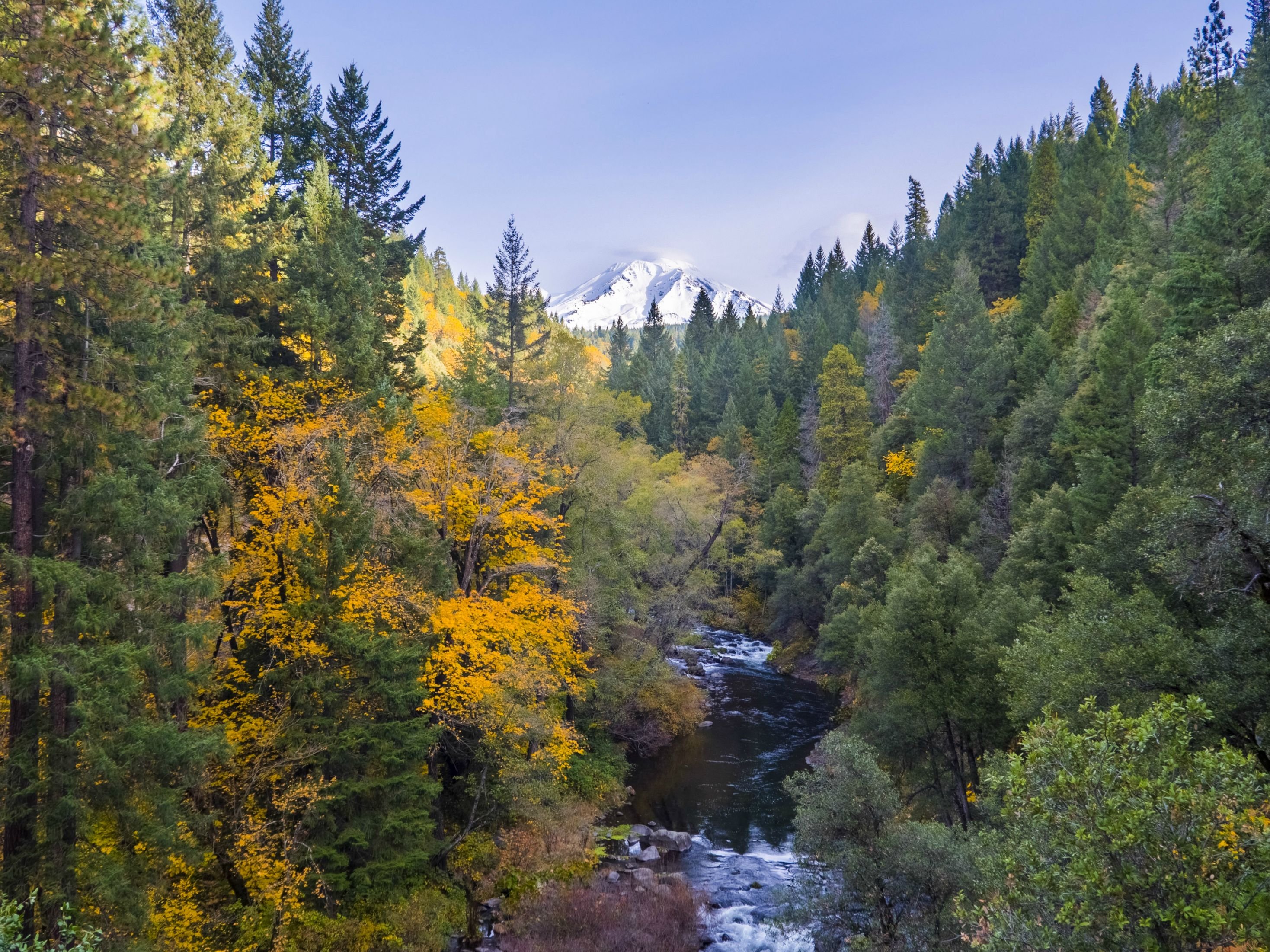 Some Fall Color Along The Upper Sacramento River With - HD Wallpaper 