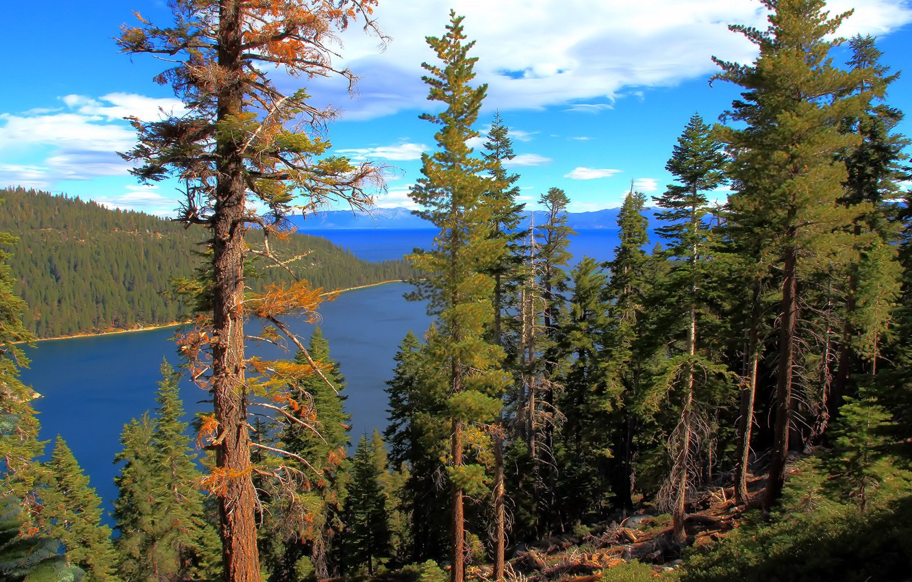 Photo Wallpaper Forest, Water, Lake, California, Lake - Emerald Bay - HD Wallpaper 