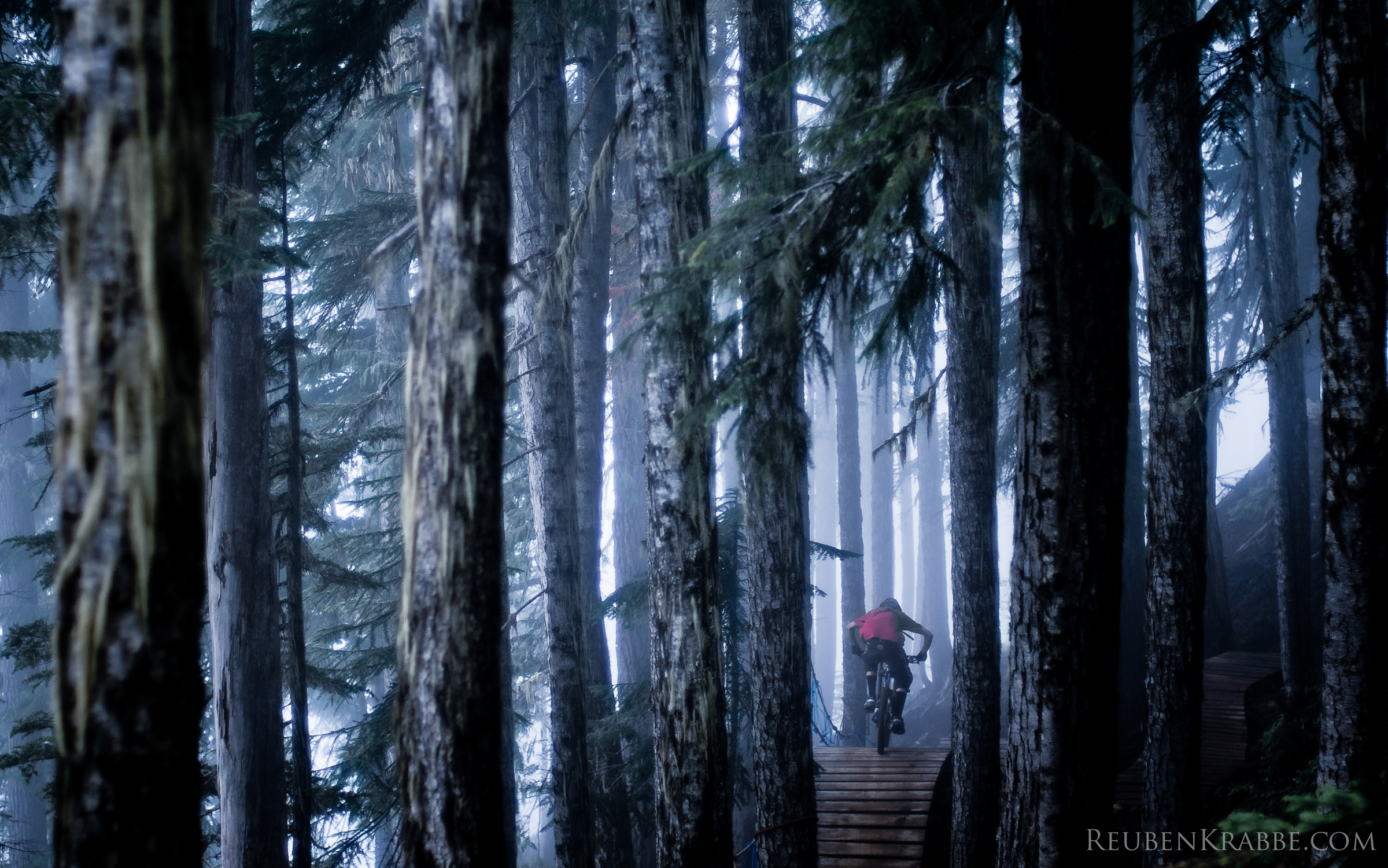 Whistler, - HD Wallpaper 