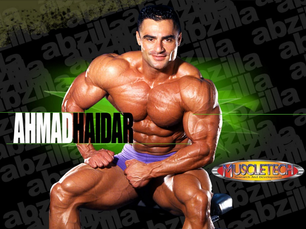 Ahmad Haidar, Ifbb Pro Bodybuilder - HD Wallpaper 