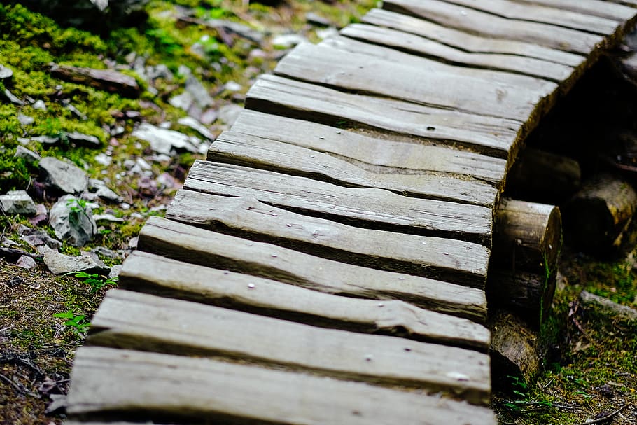 Whistler, Canada, Trail, Park, Bike, Path, Bridge, - Plank - HD Wallpaper 