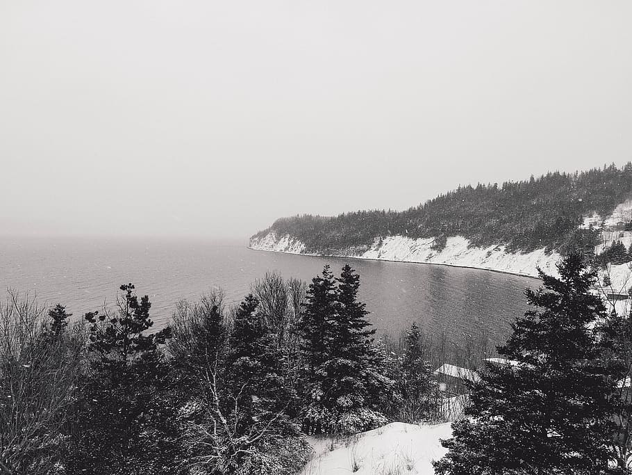 Canada, Mcivers, Ocean, Forest, Snow, Newfoundland, - HD Wallpaper 