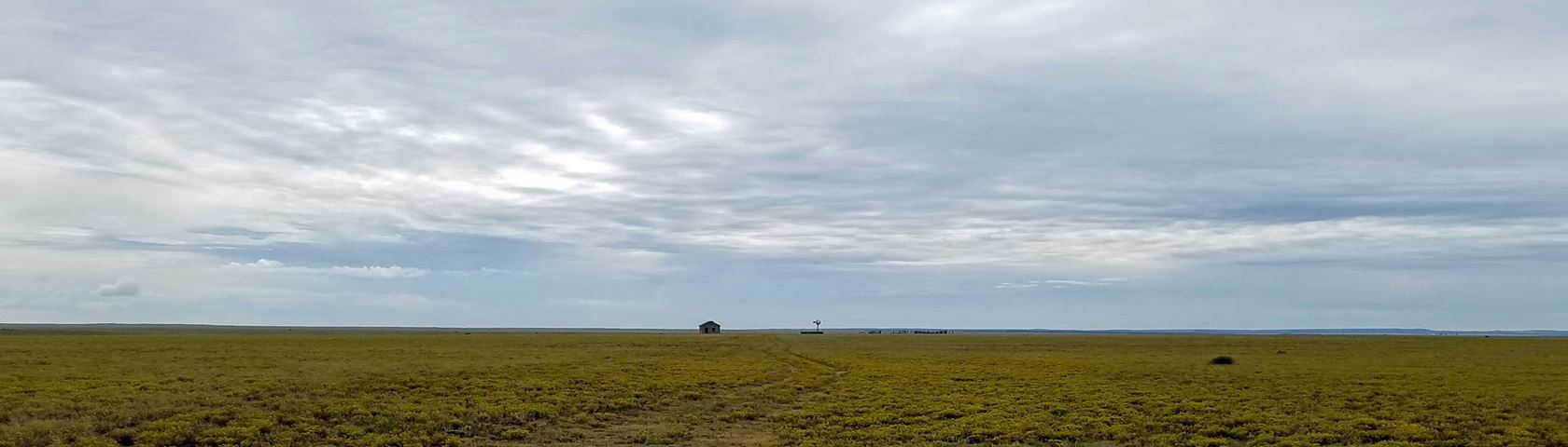 Alone In New Mexico - Grassland - HD Wallpaper 