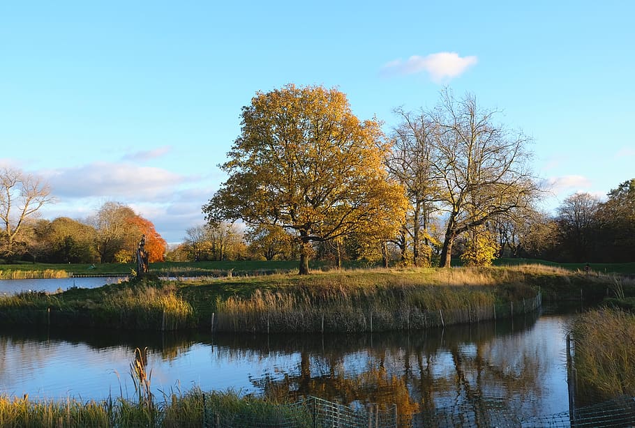 London, Hampstead Heath, United Kingdom, Lake, Leaves, - Reflection - HD Wallpaper 
