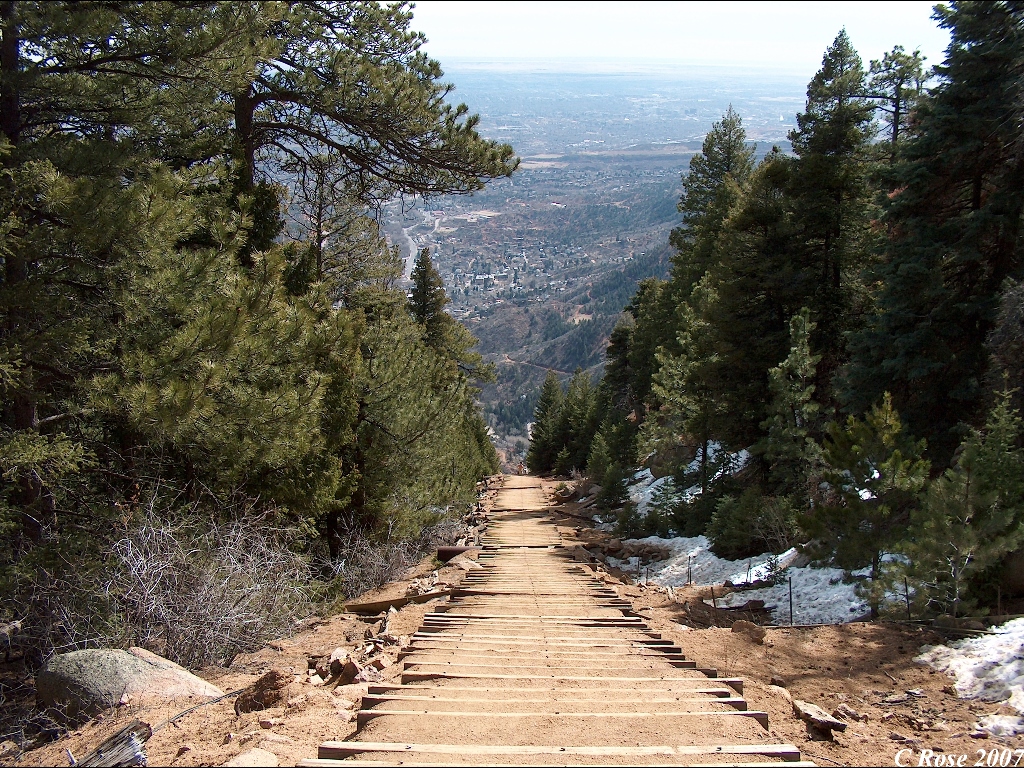 Shortleaf Black Spruce - HD Wallpaper 