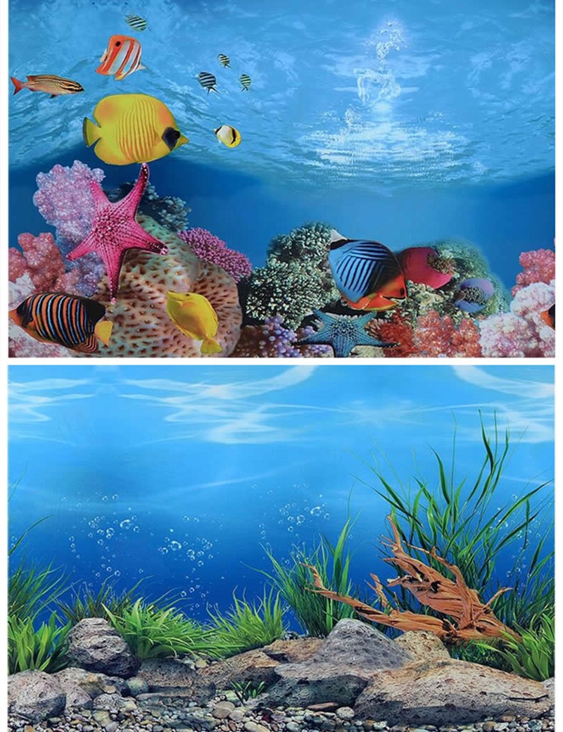 Backgrounds Karen Low - Aquarium Background Fish Tank Poster - HD Wallpaper 