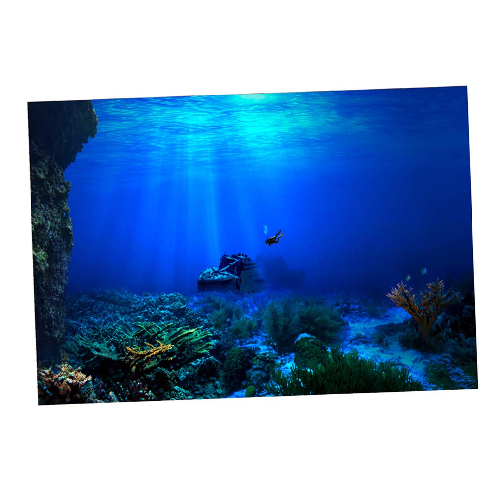 Aquarium Décor Pet Supplies Marine 122x46cm B Blesiya - Aquarium Poster Background - HD Wallpaper 