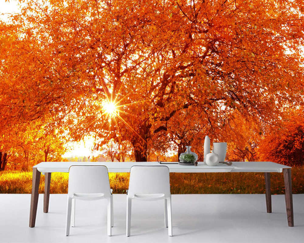 Beautiful Afternoon Scenery - HD Wallpaper 