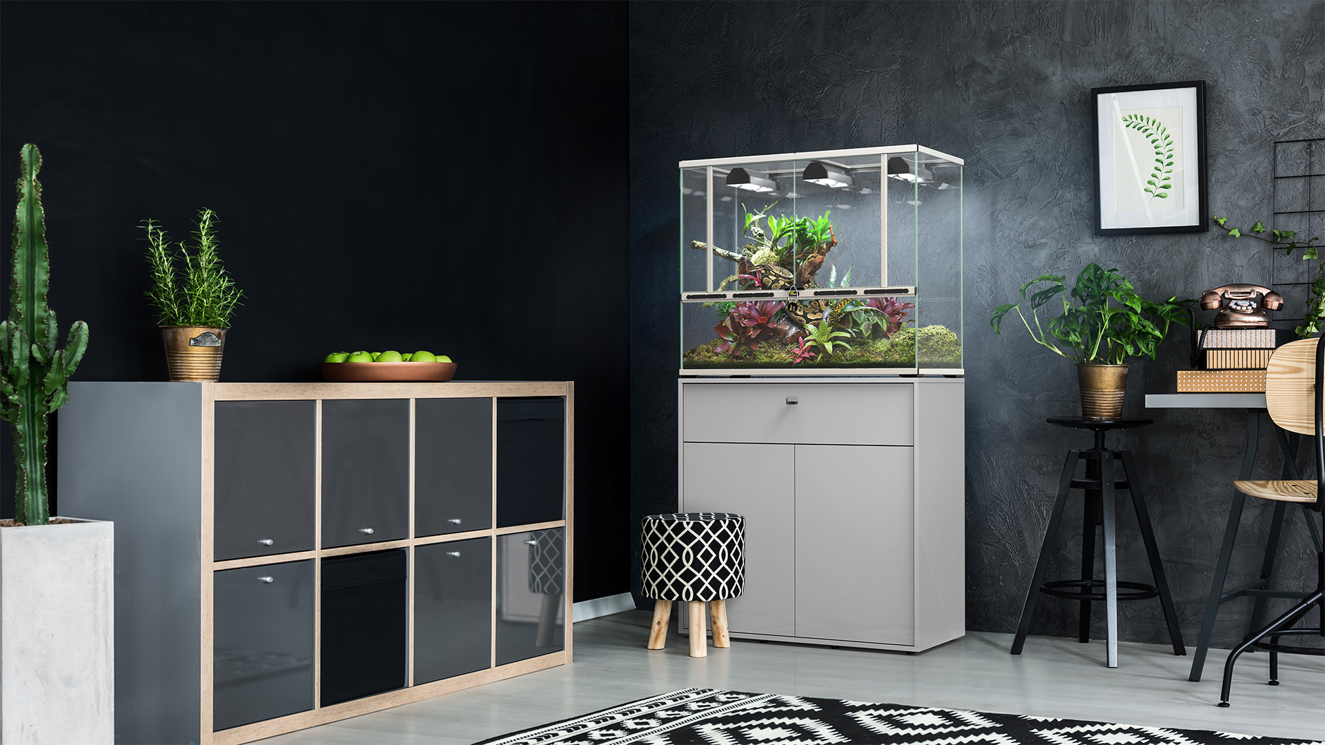 Terrarium 88x45x75 - - Terrarium Aquatlantis - HD Wallpaper 