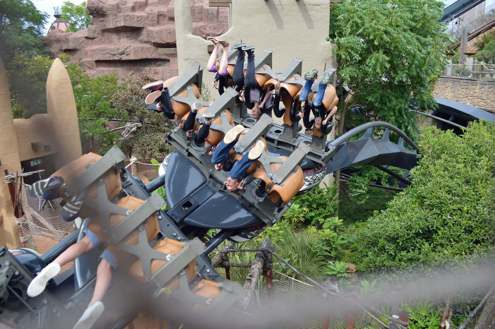 Black Mamba See Phantasialand 1600x1064 Wallpaper Teahub Io