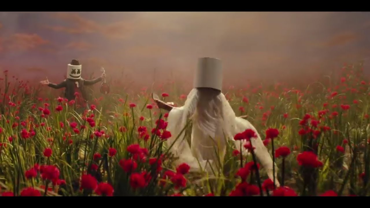 Garden Roses - HD Wallpaper 