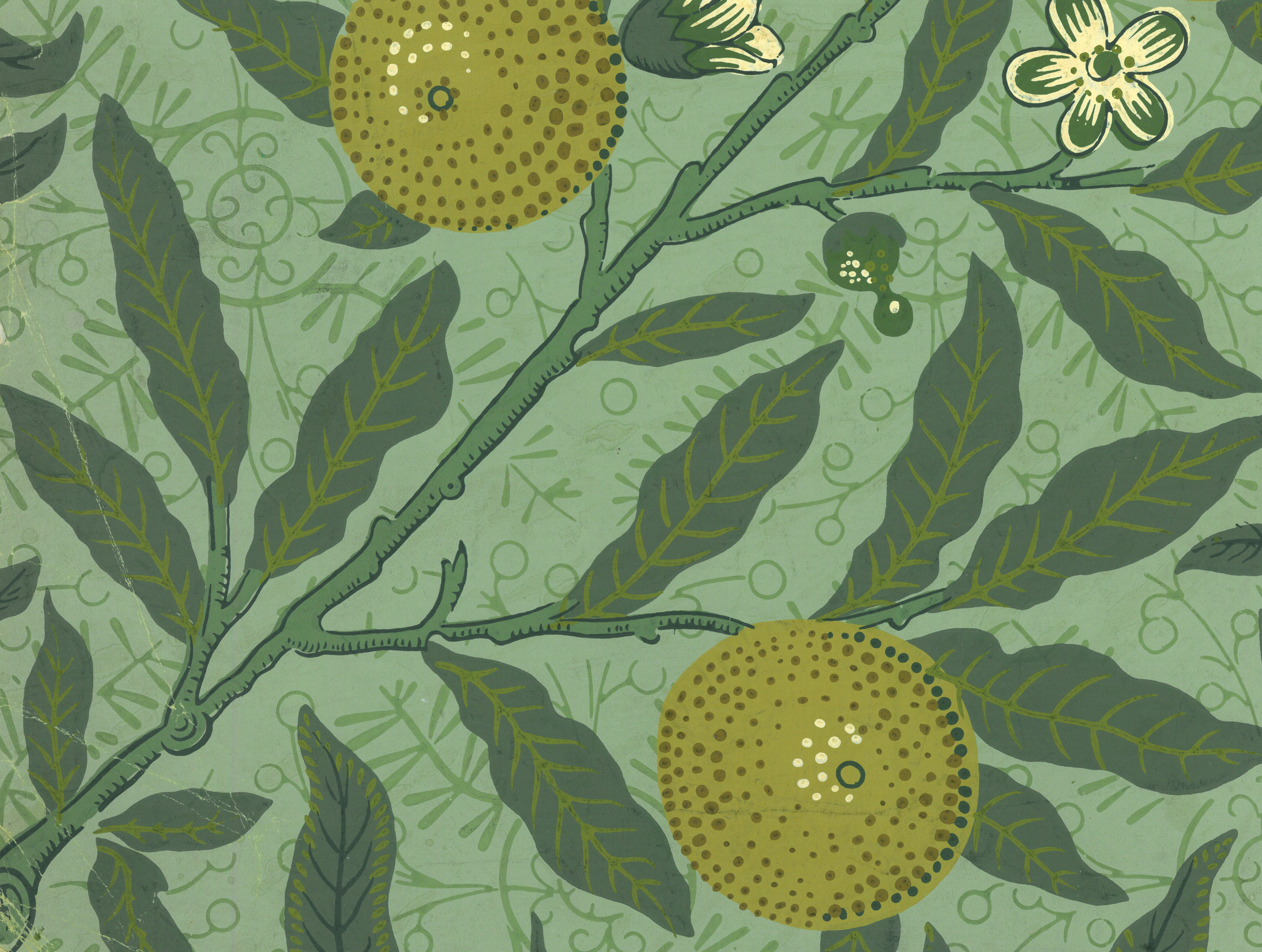 William Morris Wallpaper Prints - HD Wallpaper 