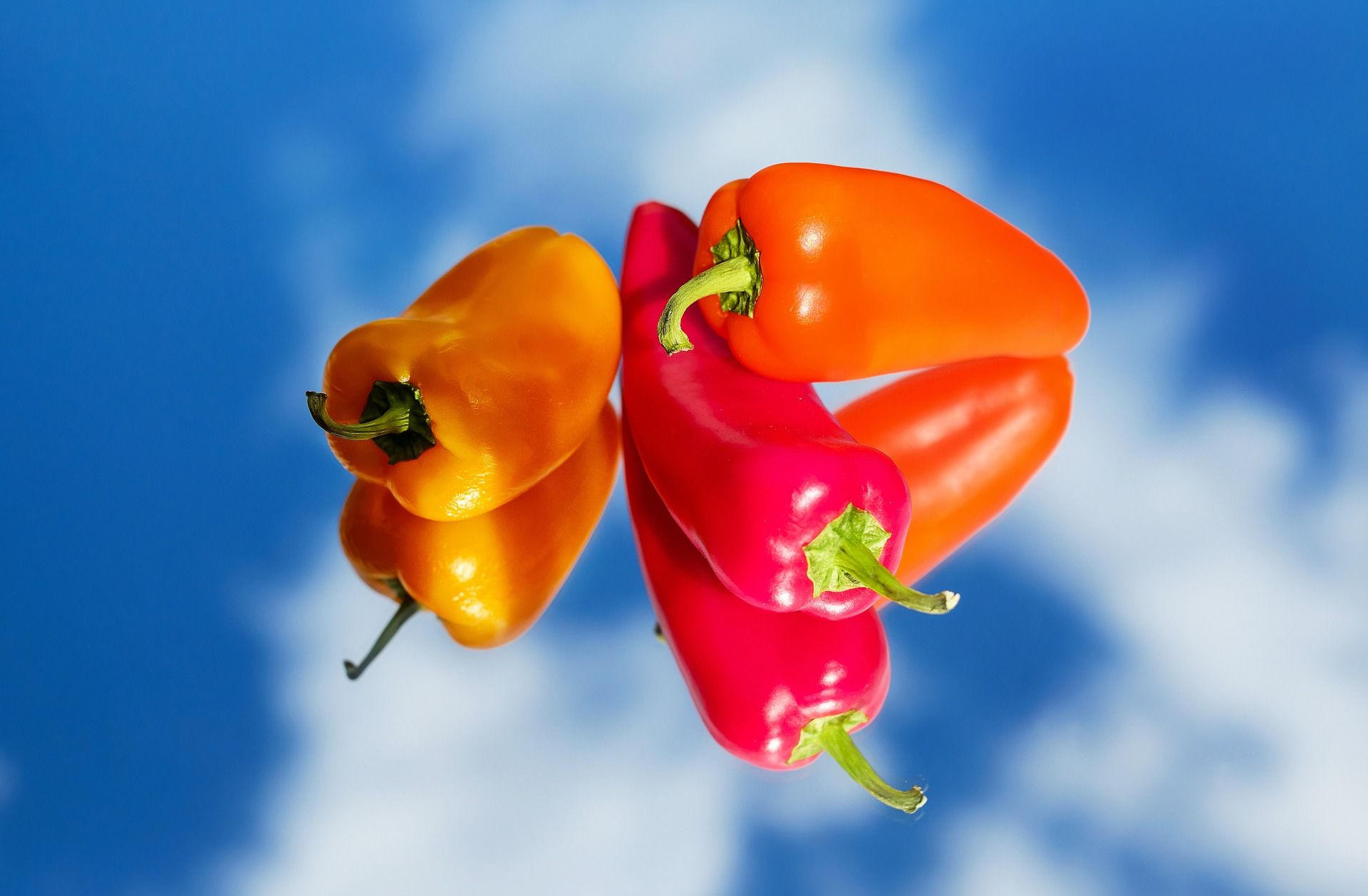 Habanero Chili - HD Wallpaper 